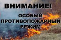 «Об установлении особого противопожарного режима на территории Ленинградской области»